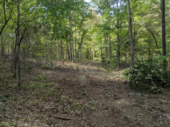 000 County Road 330, Dora, MO 65637