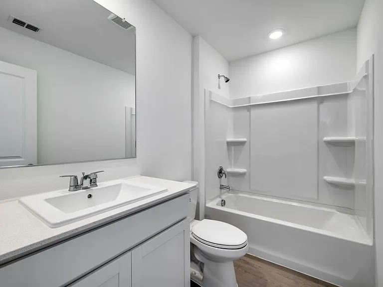 3145 Burmese St — Photo 5