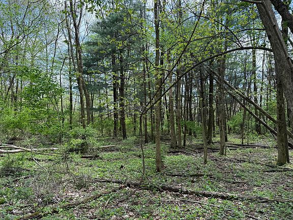 3rd image of 0 Dutch Ln NW