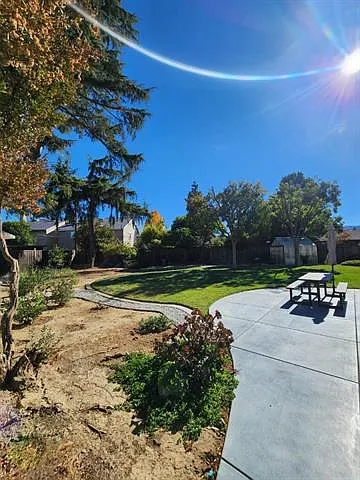 Backyard