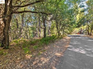 23744 Mount Elizabeth Rd, Twain Harte, CA 95383