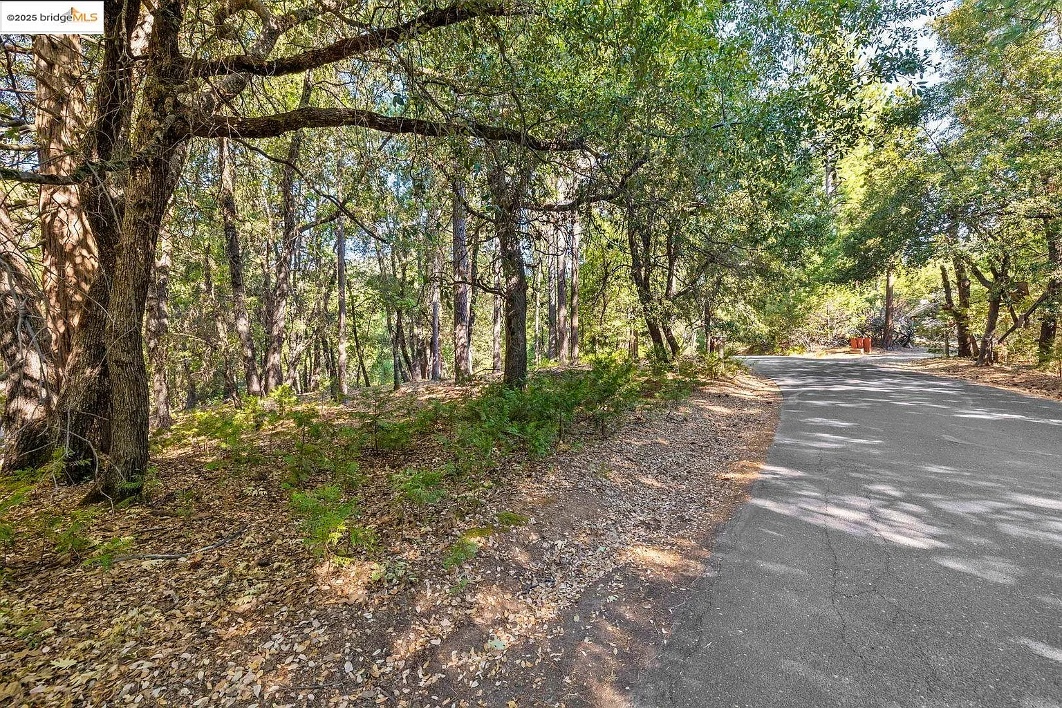 23744 Mount Elizabeth Rd photo 1