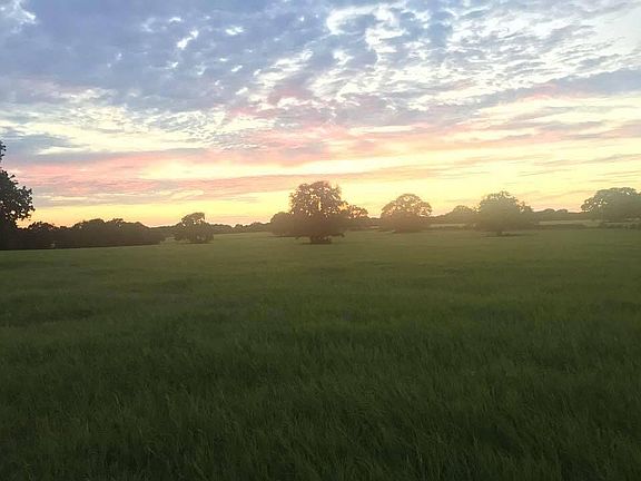 Hay meadows in spring 