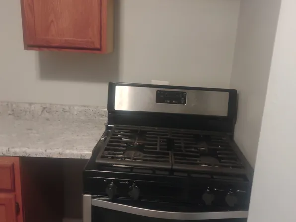 5304 S Cornell Ave APT B, Chicago, IL 60615