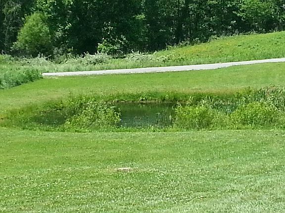 20140516_123138 - Copy