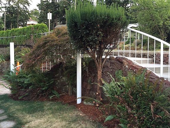 yard