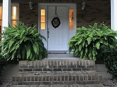 3rd image of 68 James Dr