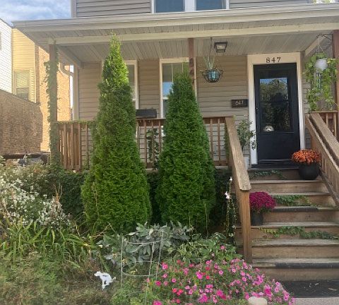 Perennial flowers in the front