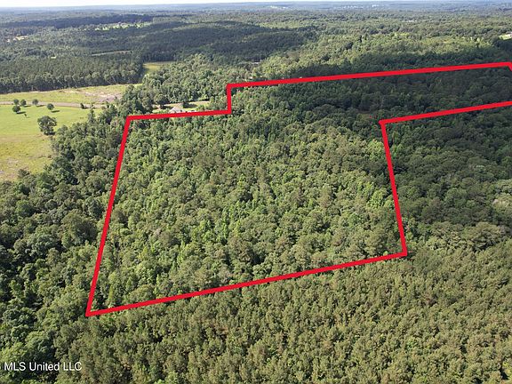 3rd image of 135 Joe Booth Rd
