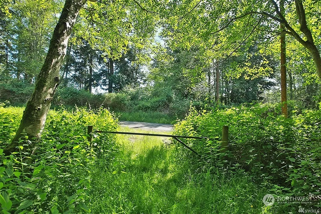 0 Lot 6 Newman Road photo 1