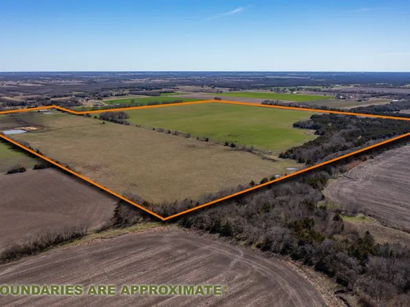 10699 Fm 1377, Blue Ridge, TX 75424