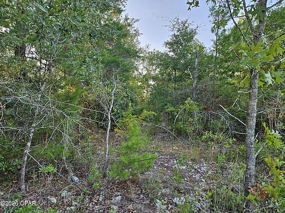 3rd image of LOT 3 Parkview Dr