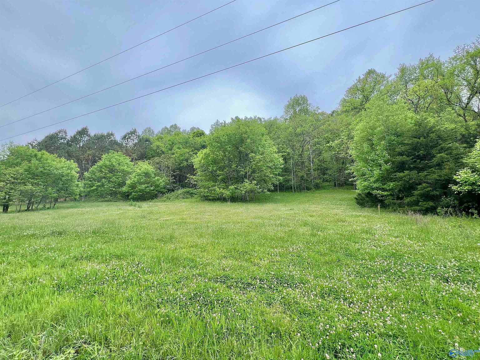 5.36 Thompson Hollow Rd, Taft, TN 38488 MLS 21859255 Zillow