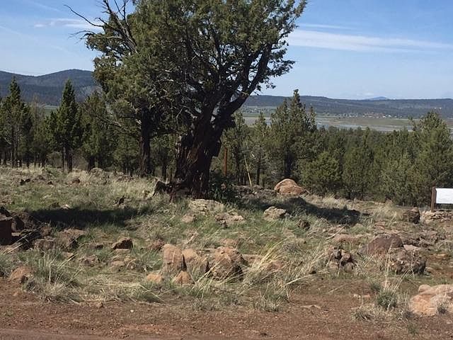 2nd image of 0 Cedar Trl