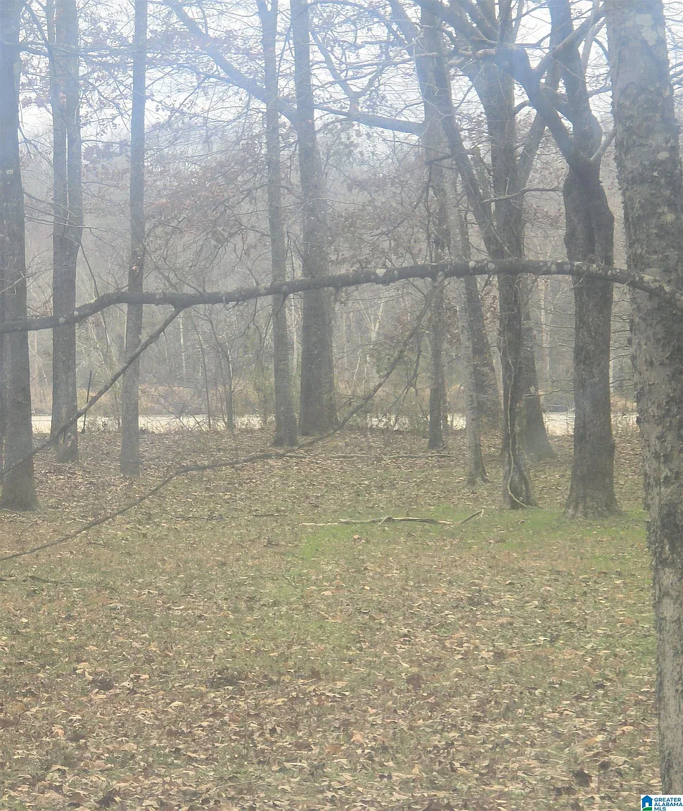 Cypress Point Dr #12 photo 1