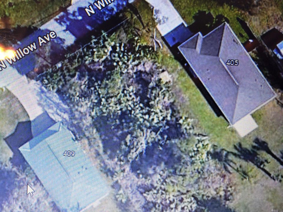 1st image of 407 N Willow Ave