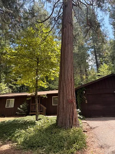 2 bed, 1280 sqft, $1,850 — Photo 2