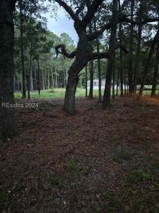 62 Johnson Landing Rd, Beaufort, SC, 29907