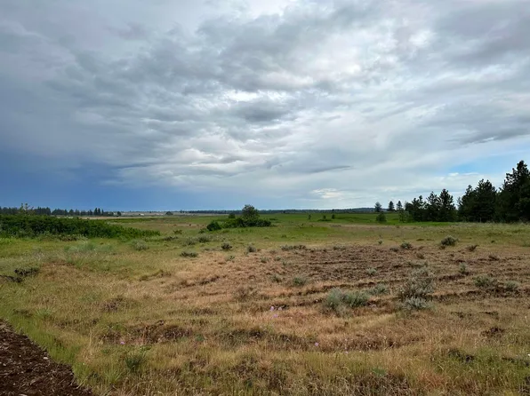 241XX W Kitt Rd, Reardan, WA 99029