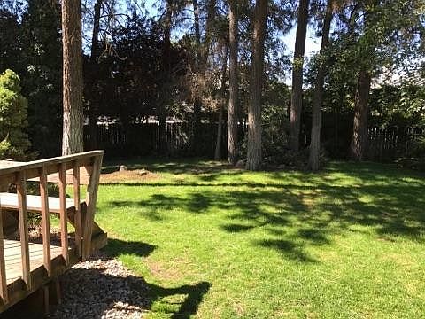 Fenced Back Yard