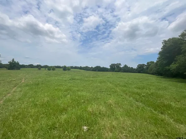 X Cres #2314, Pittsburg, TX 75686