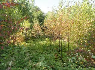 1616 Pineview Ln, Tomahawk, WI 54487