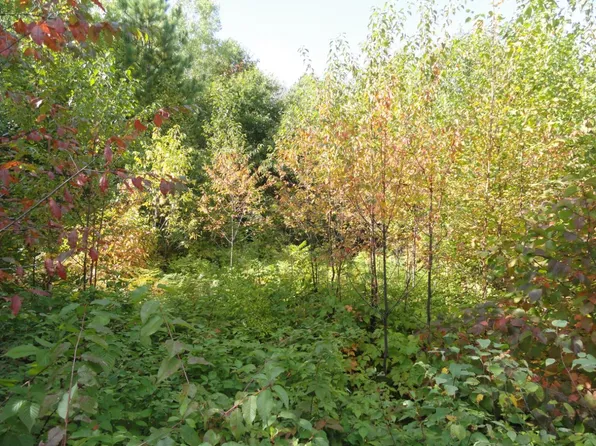 1616 Pineview Ln, Tomahawk, WI 54487