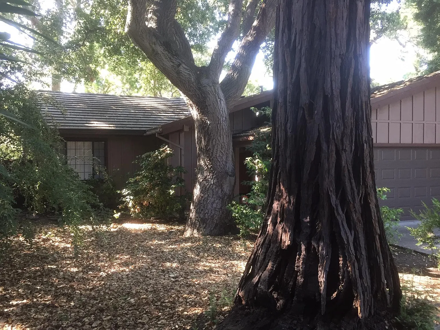 525 Magdalena Ave photo 1