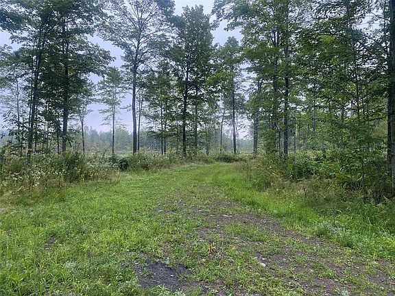 5th image of On Doland Road