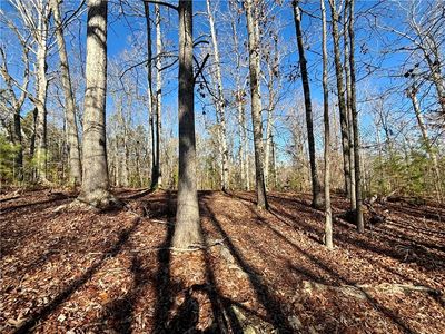 41 3rd Ave, Abbeville, SC, 29655