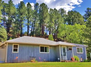 185 Dumont Ln, Dumont, CO 80436