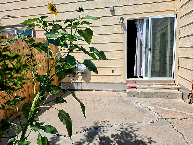 486 Tracy Dr #3 — Photo 12
