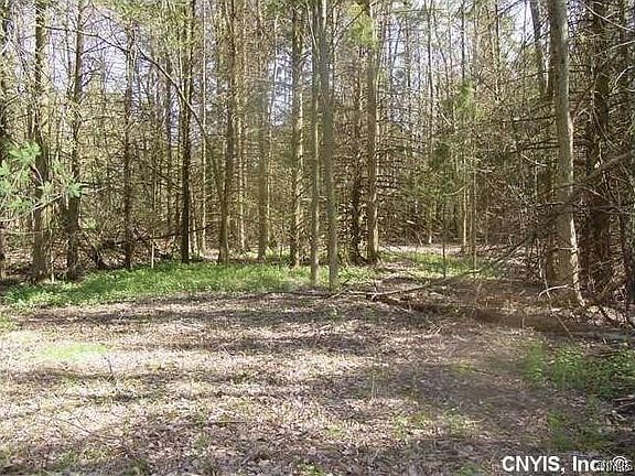 2nd image of 0 Nelson Rd