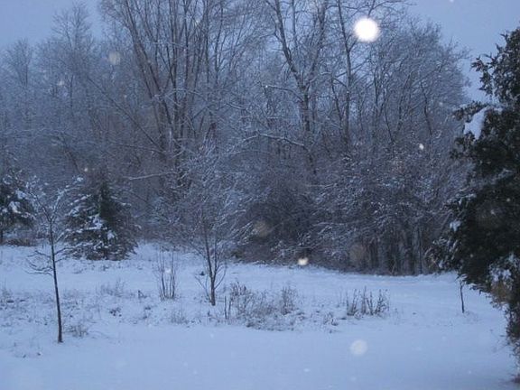 Jan 2011