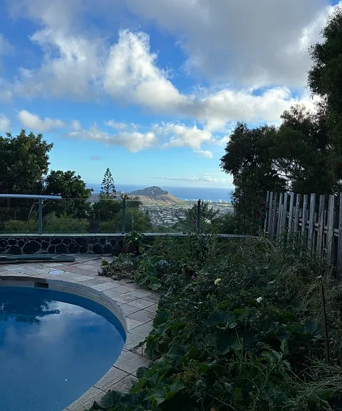 3951B Lurline Dr — Photo 14
