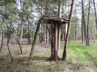 1070 N Spruce Ave, White Cloud, MI 49349