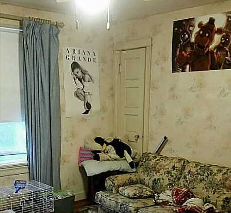4th image of 17 Elizabeth Dr
