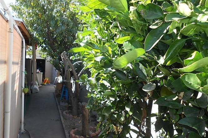 2nd image of 3229 Sandoval Ave