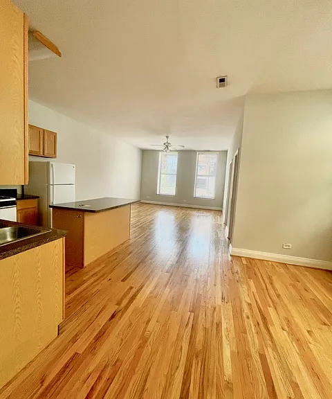 1459 N Milwaukee Ave — Photo 7