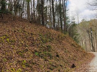 L1246 Fugue Dr #1246, Ellijay, GA 30540