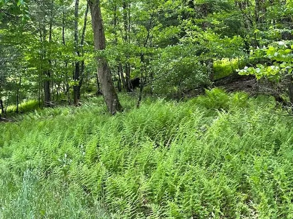 Cr-116, Cochecton, NY 12726