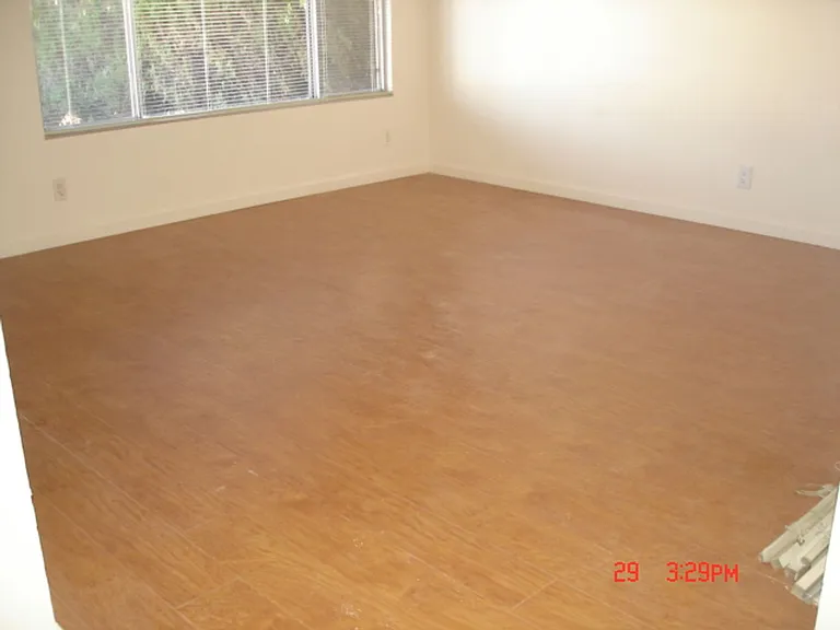 249 De Soto Dr — Photo 4