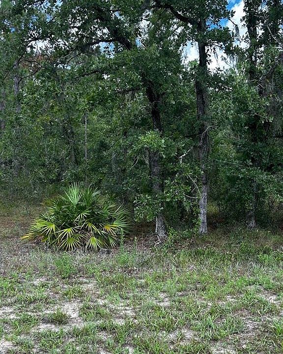 1st image of 5667 W OAK PARK BOULEVARD LOT 11