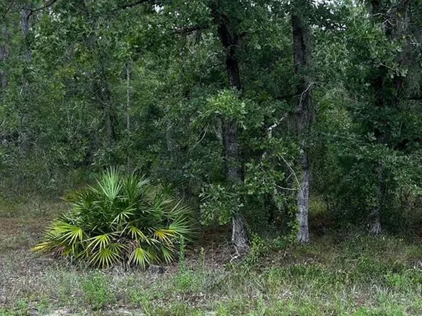 6481 W Oak Park Blvd #19, Homosassa, FL 34446