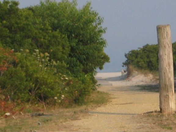 Path to Beach