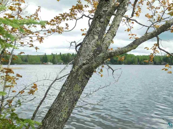 50XX NE Comstock Bay Rd, Cotton, MN 55724