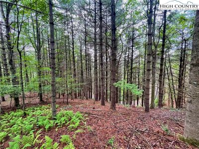 TBD Daniel Pierce Road, West Jefferson, NC, 28694