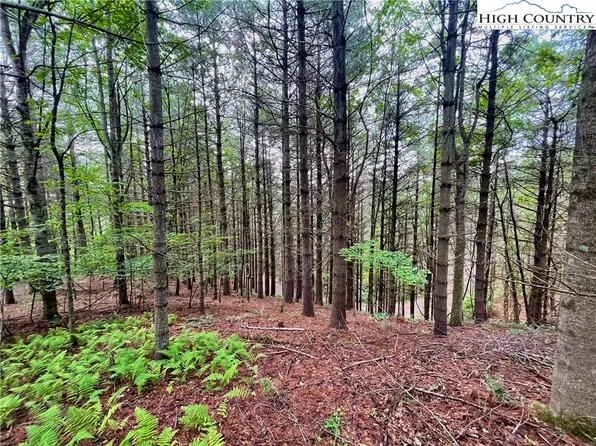 TBD Daniel Pierce Road, West Jefferson, NC 28694