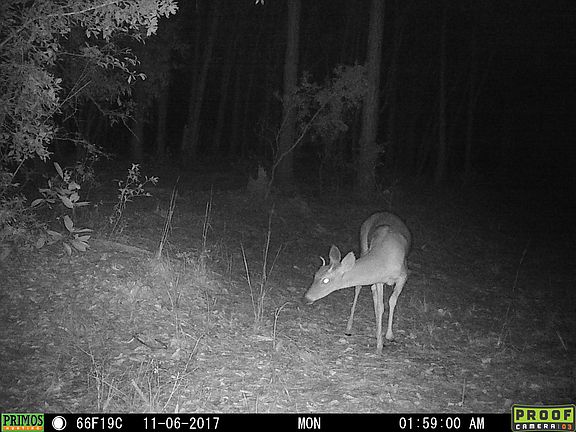 3rd image of Deep Creek Plantation Settindown Dr