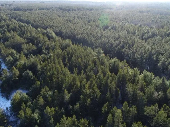 00000 Black Brook Road, Webster, WI 54893